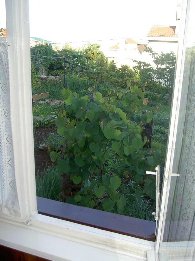 Appartement Apartman Thea à Opatija Extérieur photo